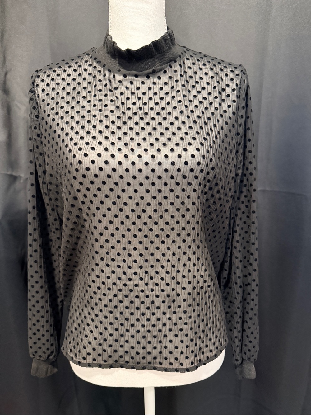 Zara Black Sheer Dot Mock Neck Long Sleeve Top